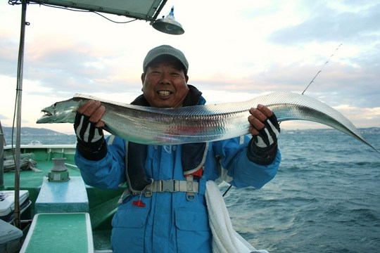 120cm ¤¢¤ì¤Ð¡¢¥É¥é¥´¥ó¤È¸Æ¤ó¤Ç¤¤¤¤¤«¤Ê¡©¡£¤Ç¤â¡¢º£Ç¯¤ÎÂçºåÏѤǤϡ¢160ѤεðÂç¥É¥é¥´¥ó¤¬½Ð¤Æ¤¤¤ë¤½¤¦¤Ç¤¹