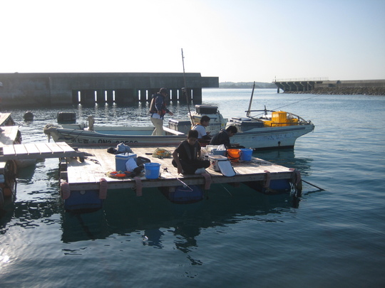 Ãϸµ¤ÎÃæ³ØÀ¸¤¬Äà¤ê¤ò³Ú¤·¤ó¤Ç¤¤¤Þ¤·¤¿