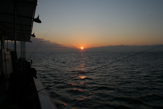 この時間帯がメバルの時合いでした