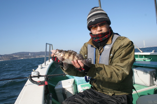 メバルも型ぞろいでした