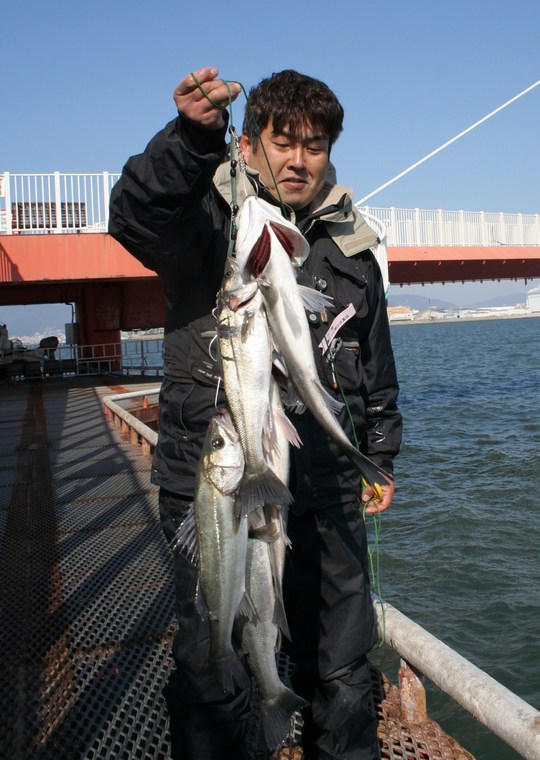 ÀÝÄÅ»Ô¤Î¸ÅÆ£¤µ¤ó¤Ï¡¢¥Õ¥«¥»Äà¤ê¤Ç¥Ï¥Í¤ò£µÉ¤¡£¤½¤Î¸å£´£²Ñ¤Î¥Á¥Ì¤Þ¤Ç¾å¤²¤é¤ì¤Þ¤·¤¿¤è