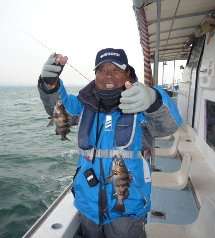 海苔サビキと書かれた仕掛けで釣りあげたメバルです。型ままずまずでしょ