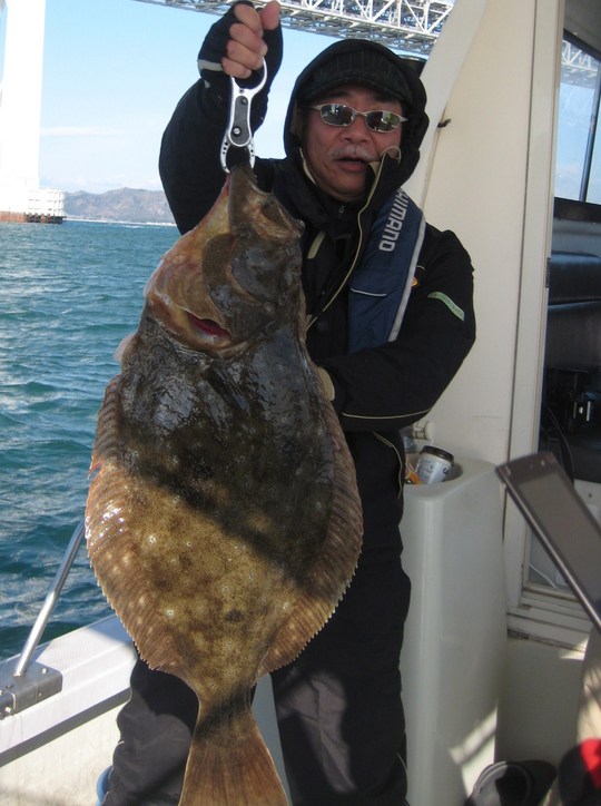 ¾¾°æ¼ÒŤ¬Äà¤ê¤¢¤¨¤¿¸«»ö¤Ê¥Ò¥é¥á¡££¸£°Ñ¤¢¤ê¤Þ¤·¤¿