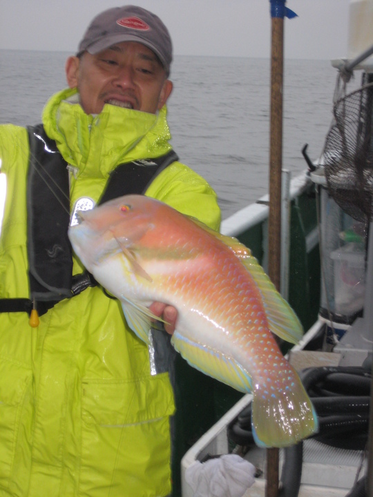 ¤³¤ì¤Ï¥Ù¥é²Ê¤Î¥¤¥é¤Ç¤¹¡£¶áÆ£¤µ¤ó¤¬¿©¤Ù¤¿´¶Áۤϡ¢Í¾¤êÈþÌ£¤·¤¯¤Ê¤«¤Ã¤¿¡¢¤½¤¦¤Ç¤¹