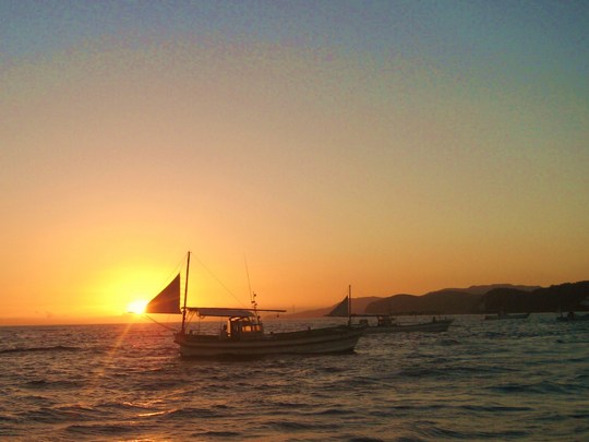 ½ÐÁ¥¤Ï¸áÁ°£´»þ²á¤®¡£ÌëÌÀ¤±¤È¤È¤â¤ËÄà¤ê¤¬»Ï¤Þ¤ê¤Þ¤·¤¿