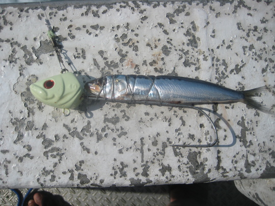 µ×¤·¤Ö¤ê¤Î¥Æ¥ó¥ä¥¿¥Á¥¦¥ª