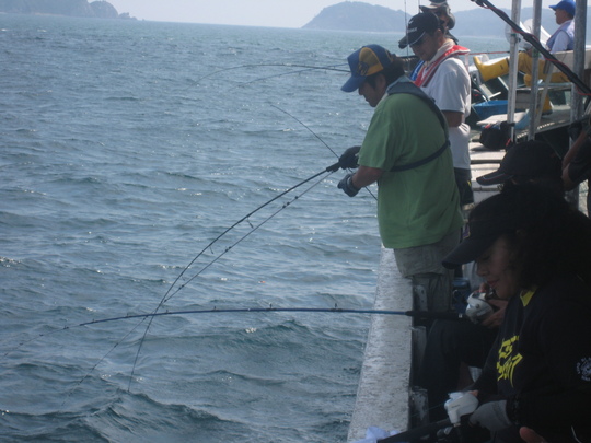 ¥É¥é¥´¥ó¤È¤ä¤ê¼è¤ê¤ÎºÇÃæ¤Ç¤¹