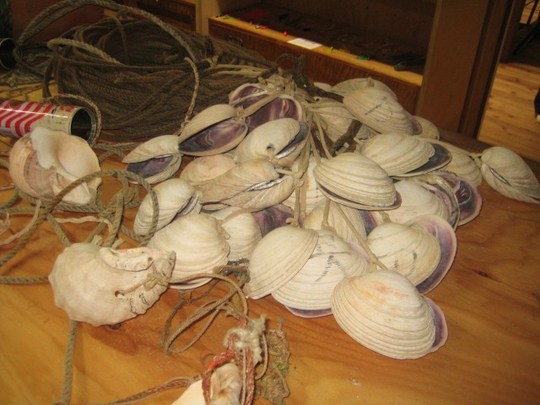 本荘貝を使ったイイダコ取りの道具