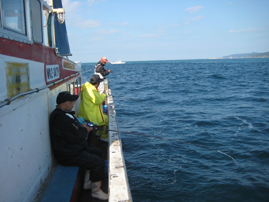 ÇÛÎó¤Ï¤³¤ó¤Ê±öÇß