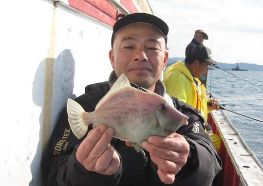 ¤ä¤ëµ¤¤Î¤Ê¤¤Çò¤¤¥Ï¥²¤¬»þ¡¹º®¤¸¤ê¤Þ¤¹