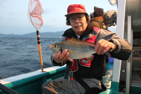 こんなイサギや…