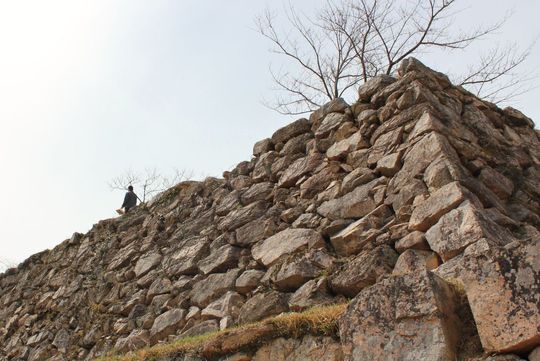 この石積みは、近江穴太衆の手によって作られたもので、野面積みと呼ばれるそうです